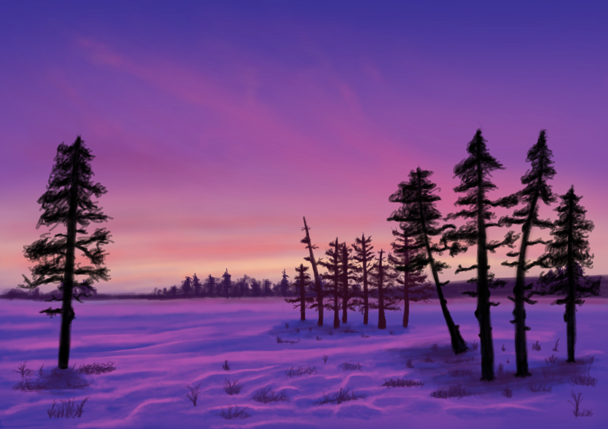 Winter Trees